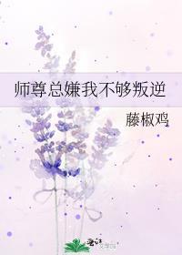 师尊总是不理我免费阅读