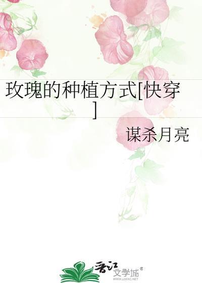 玫瑰的种植技术