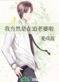 我当然是在追老婆啦by麦成浪