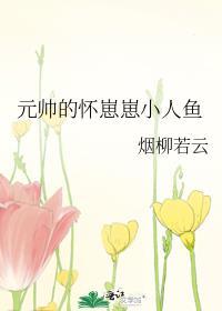 元帅夫人怀孕了