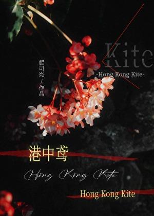 港中鸢txt