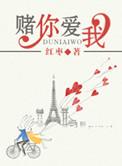 我赌你爱我免费阅读