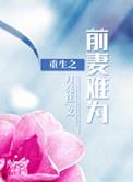重生之前妻不二嫁