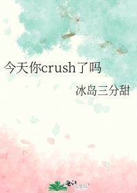 今天你crush了吗字数