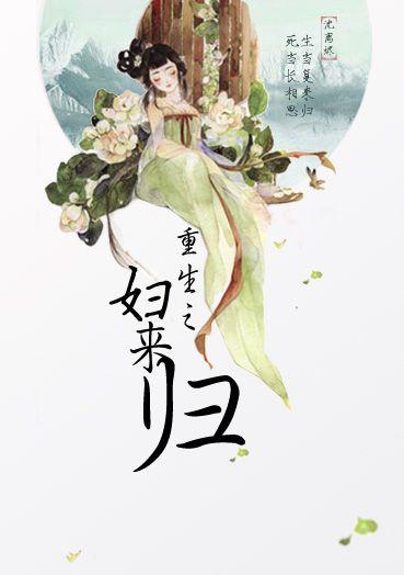 重生之妇来归书评