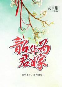 韶华为君嫁乐文