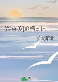 综英美韦恩日记