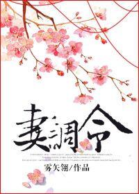 妻调令曲沁最后嫁给谁了