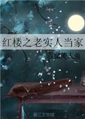 红楼之老实人当家TXT