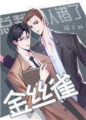 总裁他认错了金丝雀du00