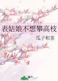 表姑娘不想攀高枝瓜子和茶