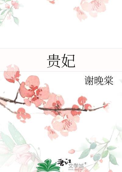 贵妃秘史