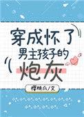 穿成怀了男主孩子的炮灰作者樱桃爪