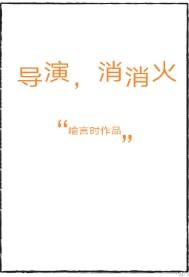 导演消消火41章