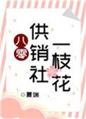 八零供销社一枝花20章