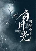 男配白月光