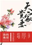 天家贵妻主要讲的什么