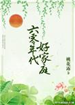 六零年代好家庭桃花露格格党好看吗