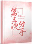 第三次分手txt百度