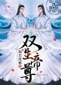 双生帝尊叶天陵清雪