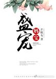 盛宠妻宝简介