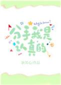 分手我是真心的