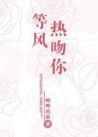 等风吻你短剧免费观看
