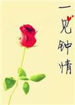 一见钟情by