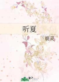 霍予安宋晚星林听夏