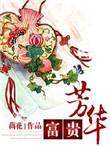 富贵芳华讲了什么