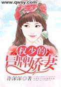 权少的娇宠