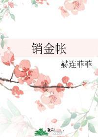 销金帐 赫连菲菲