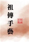 祖传手艺休光刻机免费阅读