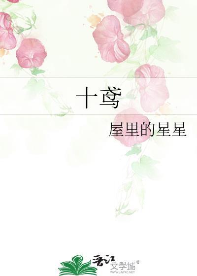 十鸢是什么意思