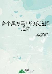 多个黑方马甲的我选择退休TXT