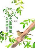 穿成大佬的姨娘怎么破