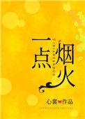 一点烟火 心裳免费