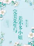 完美先生与差不多小姐电视剧剧情