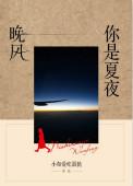 你是夏夜晚风 小布爱吃蛋挞主要讲的是什么