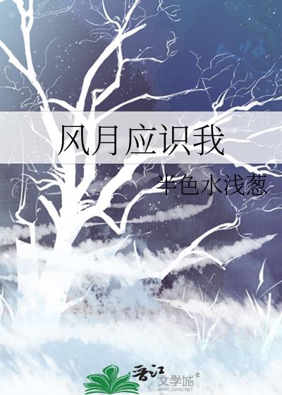 风月指什么