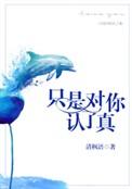 只是对你认了真完结