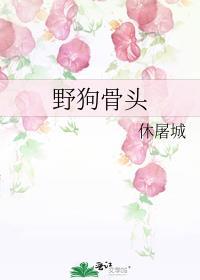 野狗骨头讲的什么内容