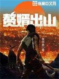 赘婿出山惊京华23集