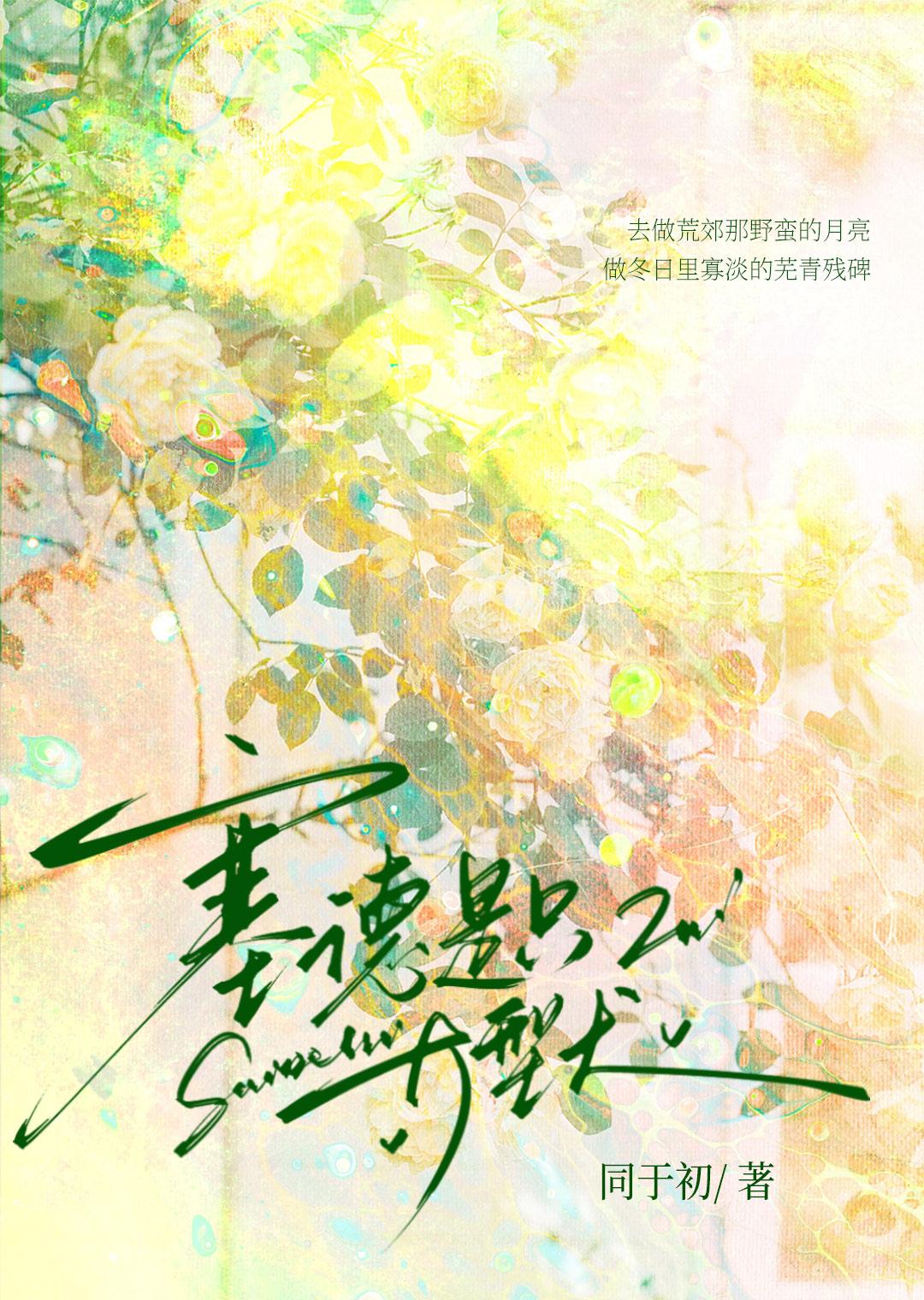 赛德是什么