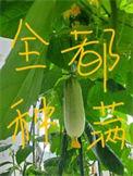 如果把修真中的修真换成学知乎