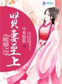暖婚爱妻2016