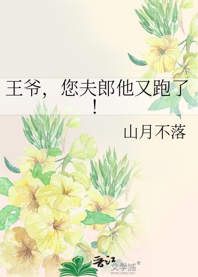王爷你夫人又掉马甲了