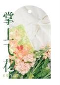 掌上飞花无删减全文阅读