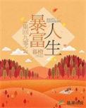 重回九零逆袭做首富
