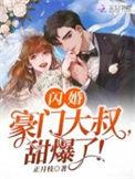 闪婚大叔是豪门